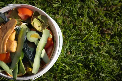 Why is There a Strange Rotten Vegetables Smell in My House?