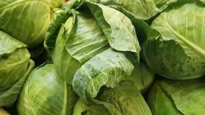 Why Is There a Strange Cabbage Smell in My House?